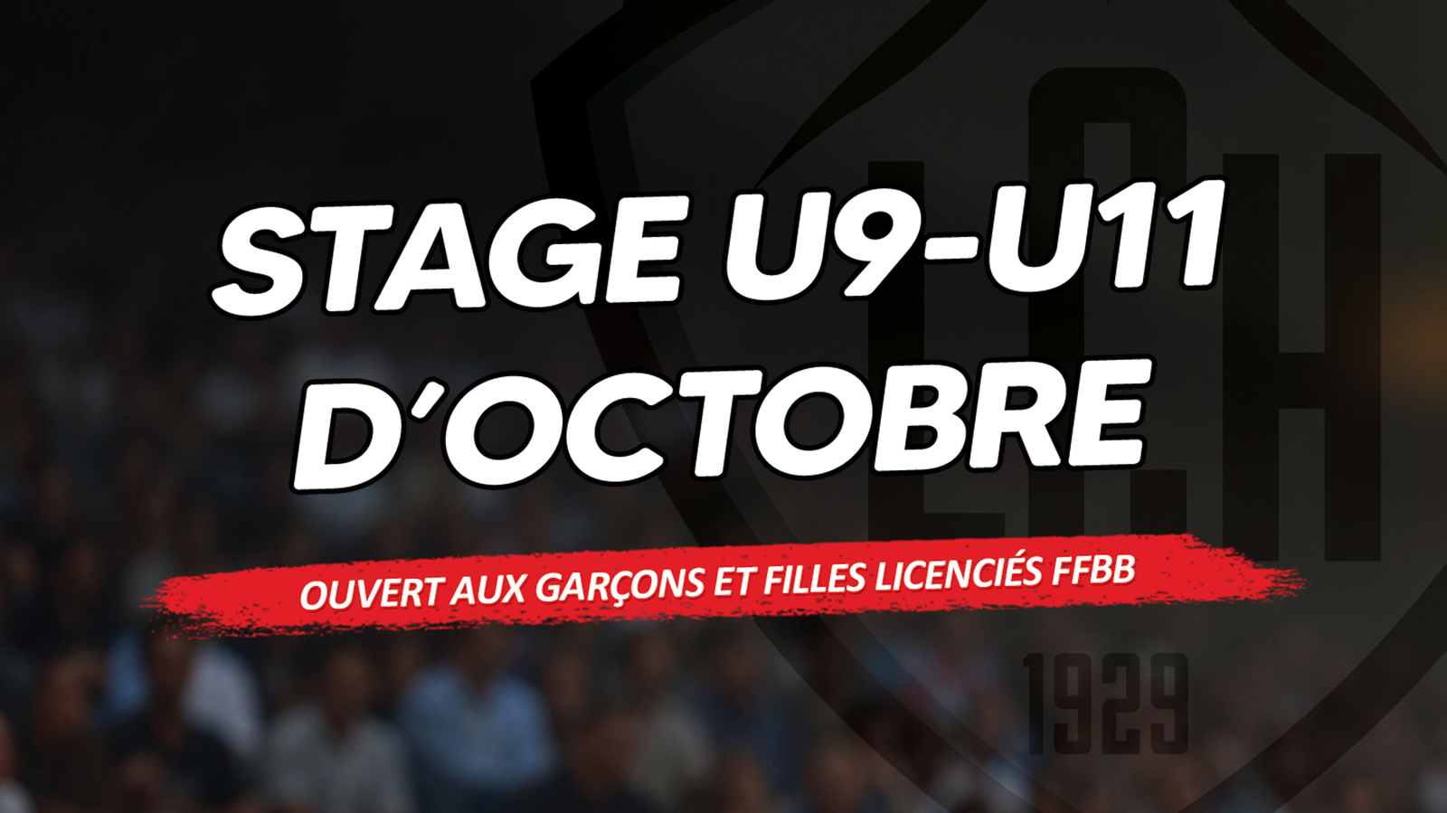 Un stage de perfectionnement pour les mini-basketteurs !